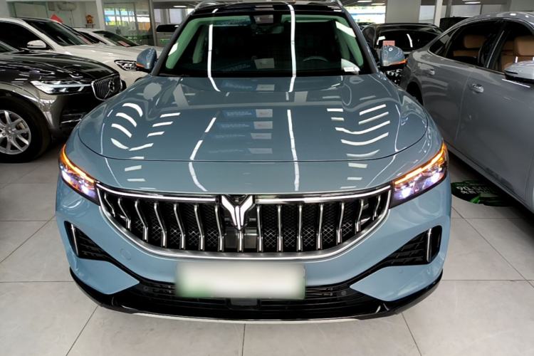 Used VOYAH FREE 2021 Four-Wheel Drive Standard Range-Extended Exclusive Luxury Package Front