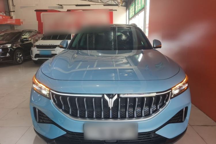 Used VOYAH FREE 2021 Four-Wheel Drive Standard All-Electric Exclusive Luxury Package Front