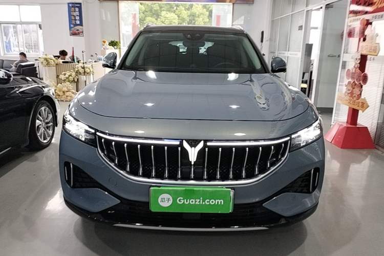 Used VOYAH FREE 2021 Four-Wheel Drive Standard Range-Extended Exclusive Luxury Package Front