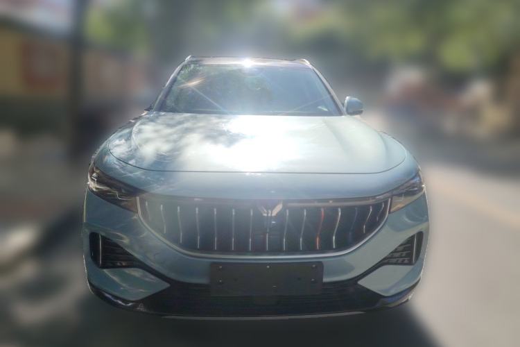 Used VOYAH FREE 2021 Four-Wheel Drive Extended-Range First Edition Commemorative Edition Exclusive Luxury Package Front