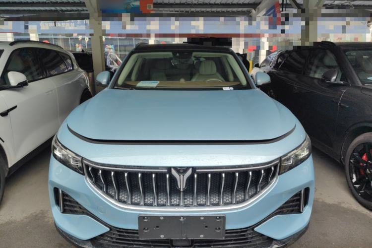 Used VOYAH FREE 2021 Four-Wheel Drive Standard All-Electric Exclusive Luxury Package Front