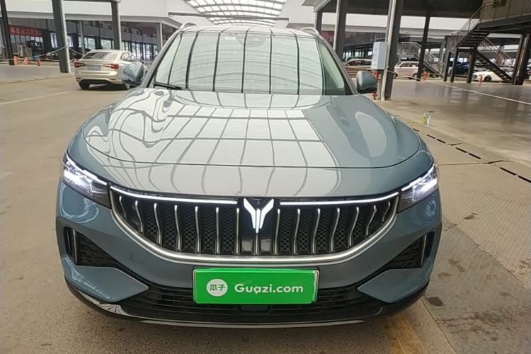 Used VOYAH FREE 2021 Four-Wheel Drive Standard Range-Extended Exclusive Luxury Package Front