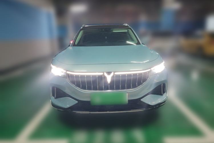 Used VOYAH FREE 2021 Two-Wheel Drive Standard Pure Electric City Edition Front