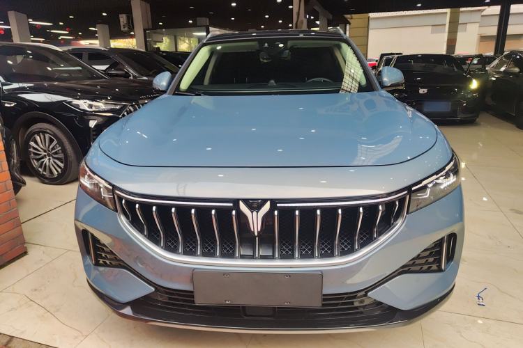 Used VOYAH FREE 2021 Four-Wheel Drive Standard Range-Extended Exclusive Luxury Package Front