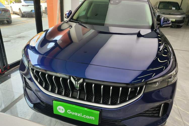 Used VOYAH FREE 2021 Four-Wheel Drive Standard Range-Extended Exclusive Luxury Package Front