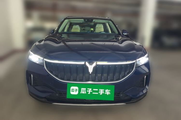 Used VOYAH FREE 2021 Four-Wheel Drive All-Electric First Edition Commemorative Edition Exclusive Luxury Package Front