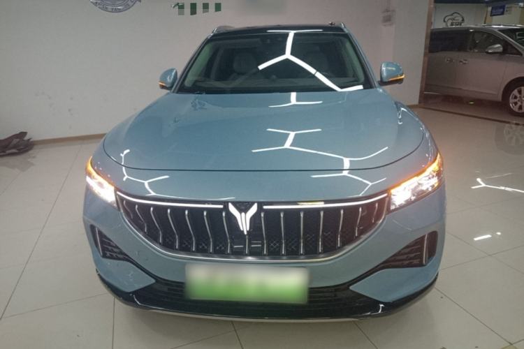 Used VOYAH FREE 2021 Four-Wheel Drive Standard Range-Extended Exclusive Luxury Package Front