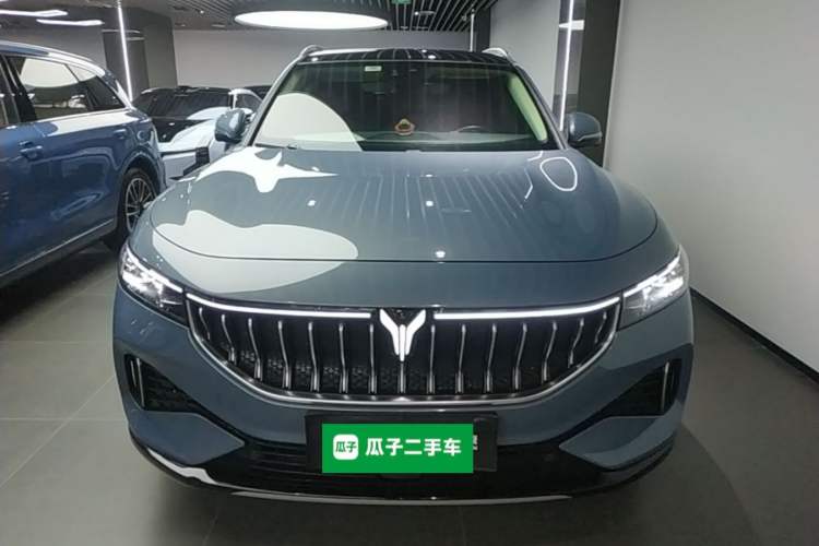 Used VOYAH FREE 2021 Four-Wheel Drive Standard All-Electric Exclusive Luxury Package Front