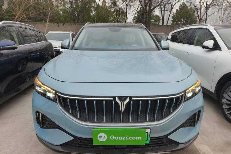 Used VOYAH FREE 2021 Four-Wheel Drive Standard All-Electric Exclusive Luxury Package Front