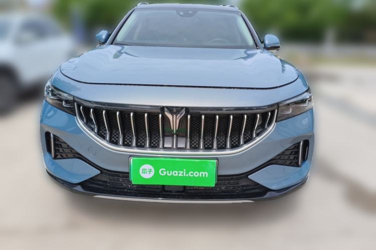 Used VOYAH FREE 2021 Four-Wheel Drive Standard Range-Extended Exclusive Luxury Package Front