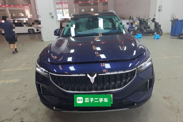 Used VOYAH FREE 2021 Two-Wheel Drive Standard Pure Electric City Edition Front