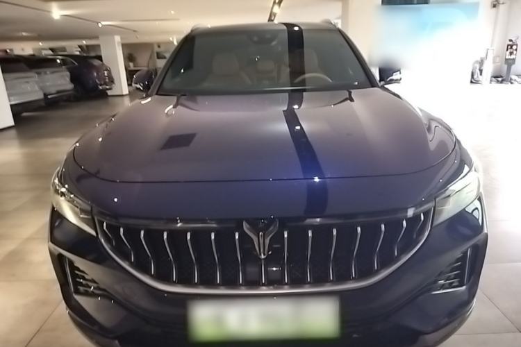 Used VOYAH FREE 2021 Four-Wheel Drive Standard Range-Extended Exclusive Luxury Package Front