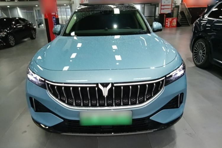 Used VOYAH FREE 2021 Two-Wheel Drive Standard Pure Electric City Edition Front