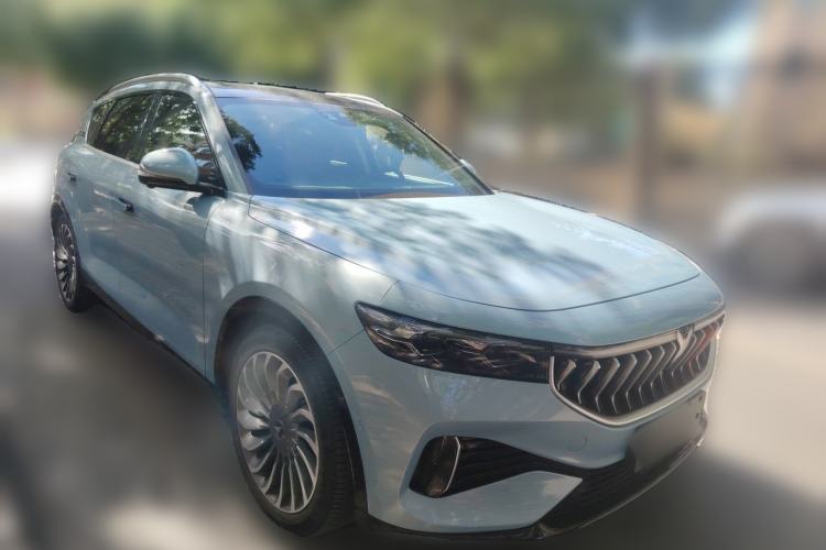 Used VOYAH FREE 2021 Four-Wheel Drive Extended-Range First Edition Commemorative Edition Exclusive Luxury Package Front Right 45 Deg