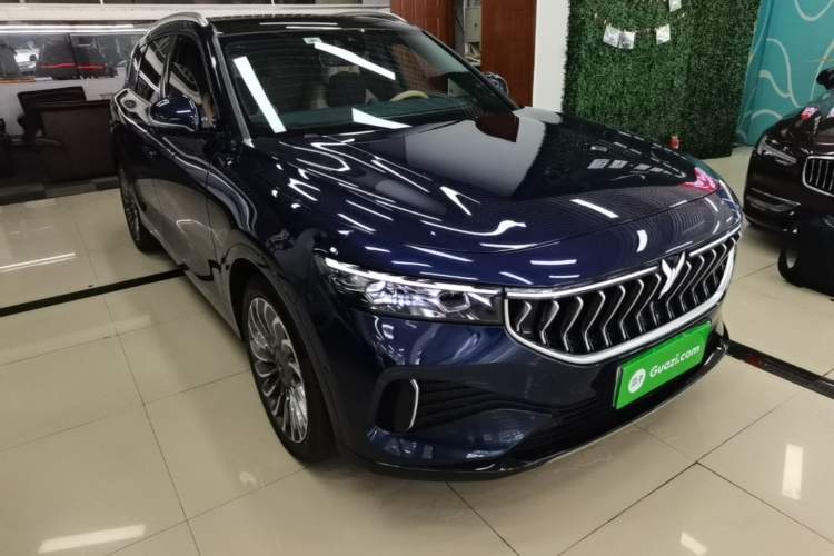 Used VOYAH FREE 2021 Four-Wheel Drive Standard Range-Extended Exclusive Luxury Package Front Right 45 Deg