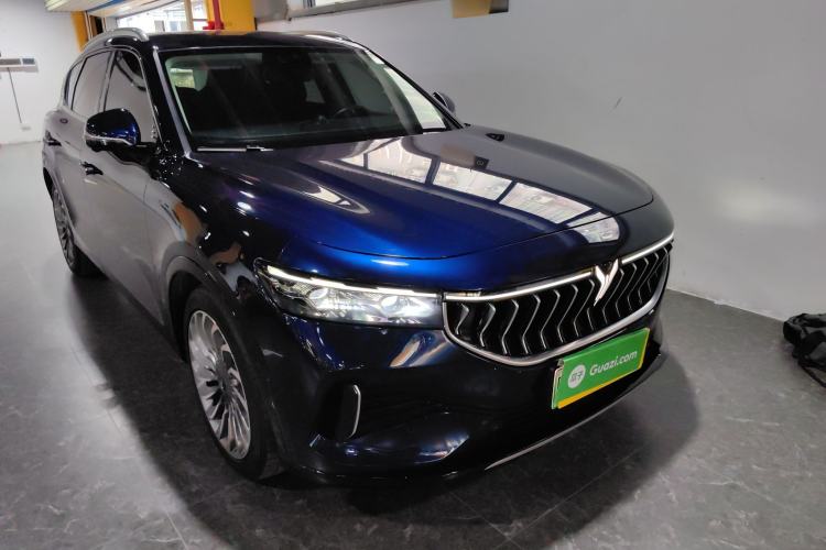 Used VOYAH FREE 2021 Four-Wheel Drive Standard Range-Extended Exclusive Luxury Package Front Right 45 Deg