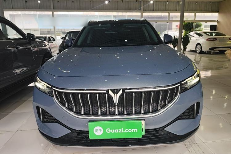 Used VOYAH FREE 2021 Two-Wheel Drive Standard Pure Electric City Edition Front