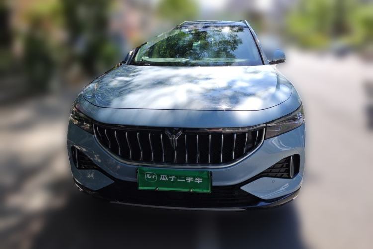 Used VOYAH FREE 2021 Four-Wheel Drive Standard Range-Extended Exclusive Luxury Package Front
