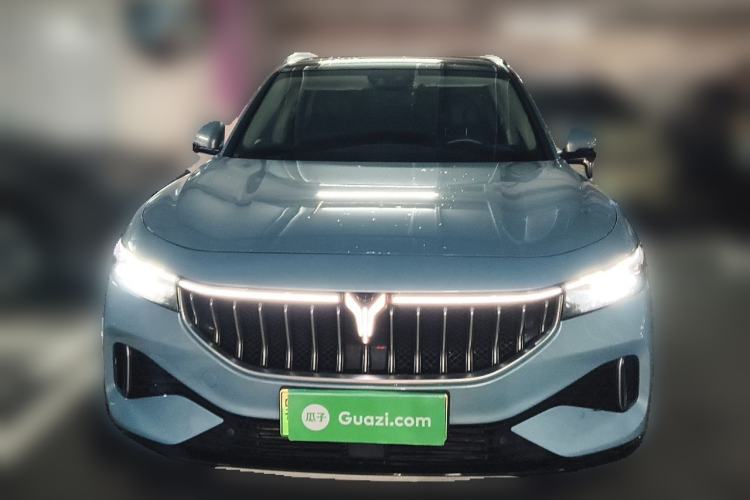 Used VOYAH FREE 2021 Four-Wheel Drive Standard Range-Extended Exclusive Luxury Package Front