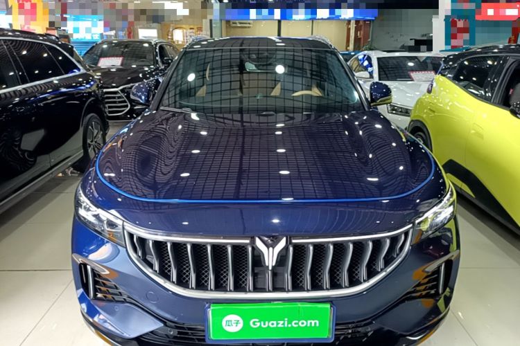 Used VOYAH FREE 2021 Four-Wheel Drive Standard Range-Extended Exclusive Luxury Package Front