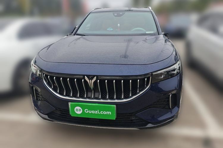 Used VOYAH FREE 2021 Four-Wheel Drive Standard Range-Extended Exclusive Luxury Package Front