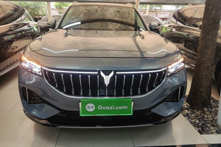 Used VOYAH FREE 2021 Four-Wheel Drive Standard Range-Extended Exclusive Luxury Package Front