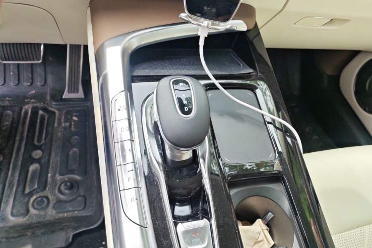 Used VOYAH FREE 2021 Four-Wheel Drive Standard All-Electric Exclusive Luxury Package Gear Lever