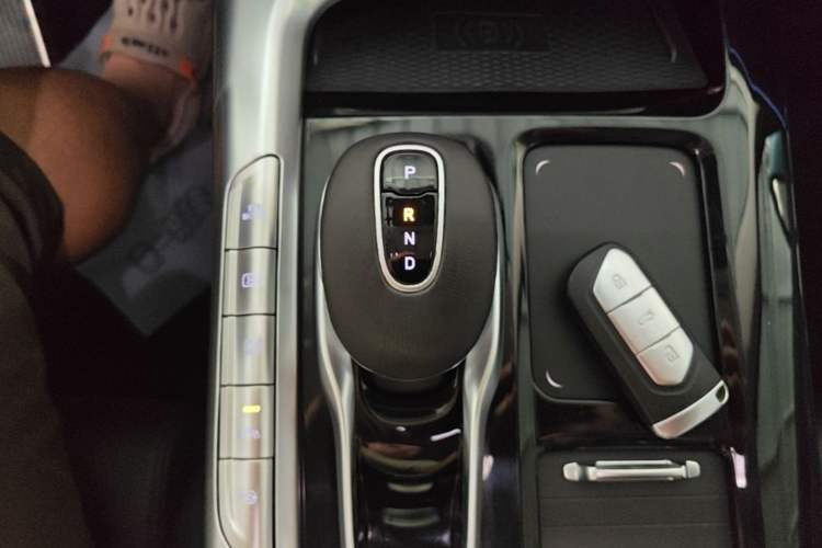 Used VOYAH FREE 2021 Two-Wheel Drive Standard Pure Electric City Edition Gear Lever