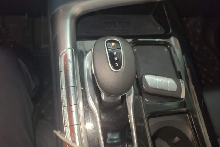 Used VOYAH FREE 2021 Four-Wheel Drive Standard All-Electric Exclusive Luxury Package Gear Lever