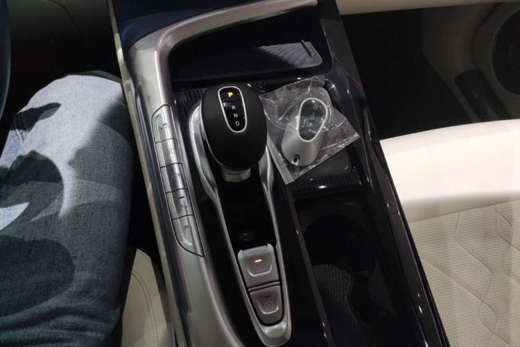 Used VOYAH FREE 2021 Four-Wheel Drive Standard Range-Extended Exclusive Luxury Package Gear Lever