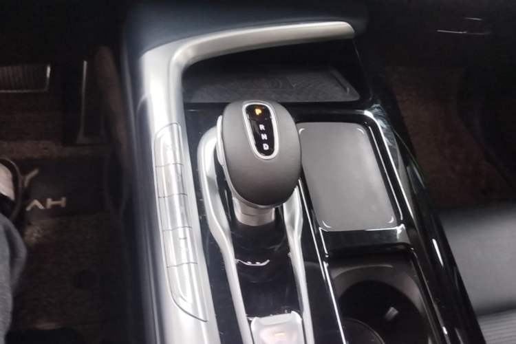 Used VOYAH FREE 2021 Four-Wheel Drive Standard Range-Extended Exclusive Luxury Package Gear Lever