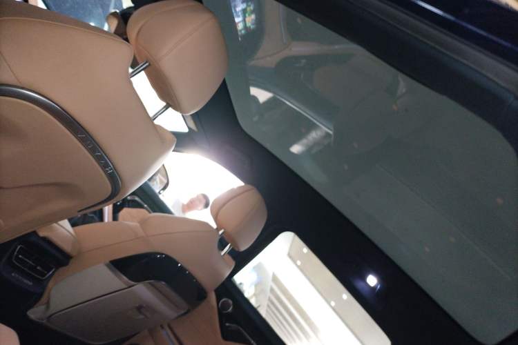 Used VOYAH FREE 2021 Two-Wheel Drive Standard Pure Electric City Edition Headliner