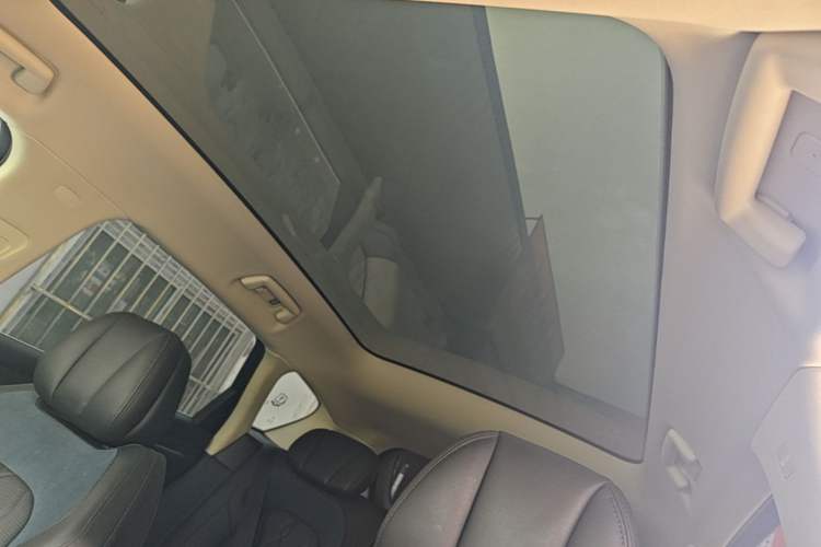 Used VOYAH FREE 2021 Four-Wheel Drive Standard Range-Extended Exclusive Luxury Package Headliner