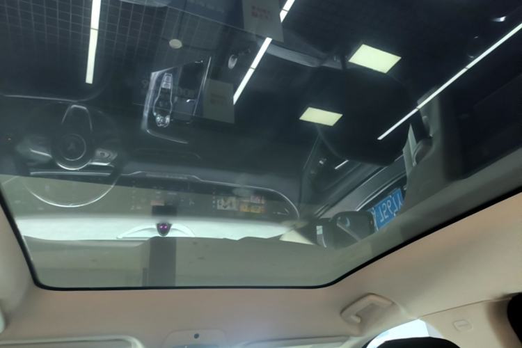Used VOYAH FREE 2021 Four-Wheel Drive Standard Range-Extended Exclusive Luxury Package Headliner