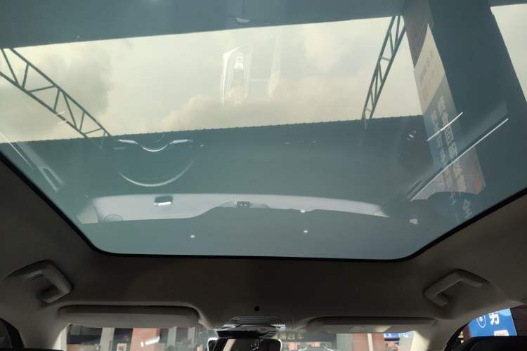 Used VOYAH FREE 2021 Four-Wheel Drive Standard Range-Extended Exclusive Luxury Package Headliner