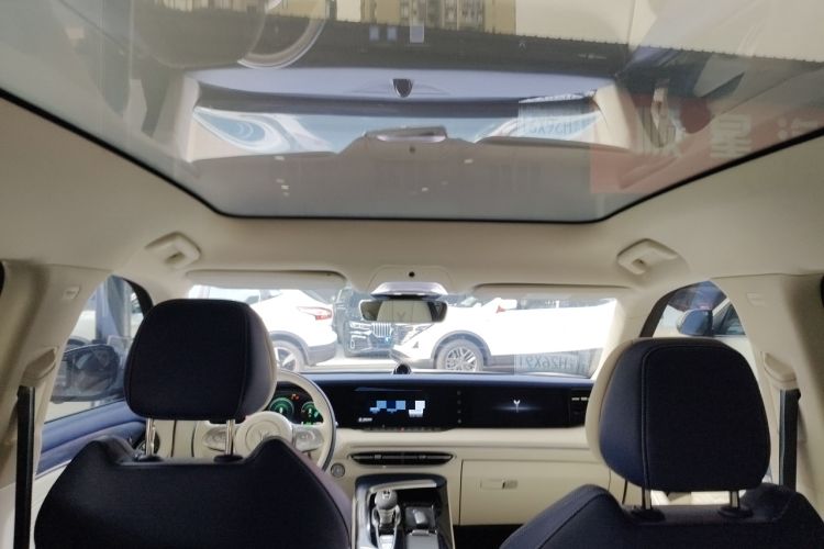 Used VOYAH FREE 2021 Four-Wheel Drive Standard All-Electric Exclusive Luxury Package Headliner