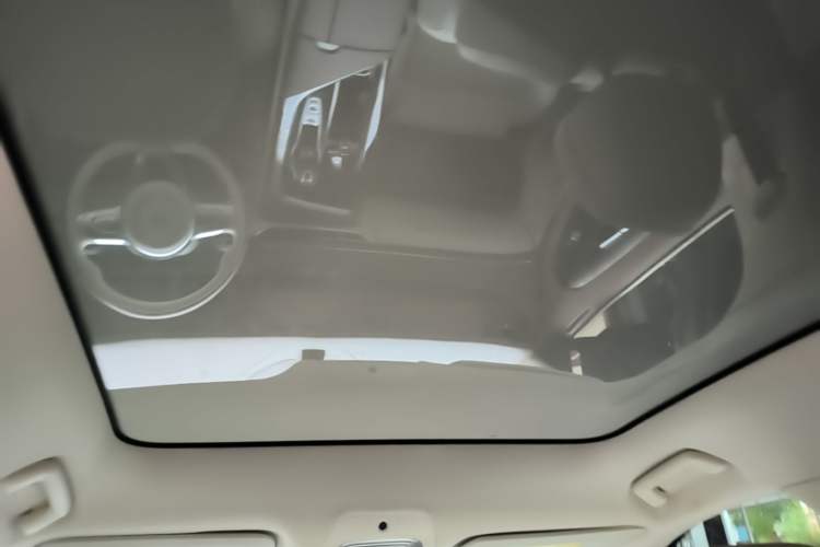Used VOYAH FREE 2021 Four-Wheel Drive Standard Range-Extended Exclusive Luxury Package Headliner