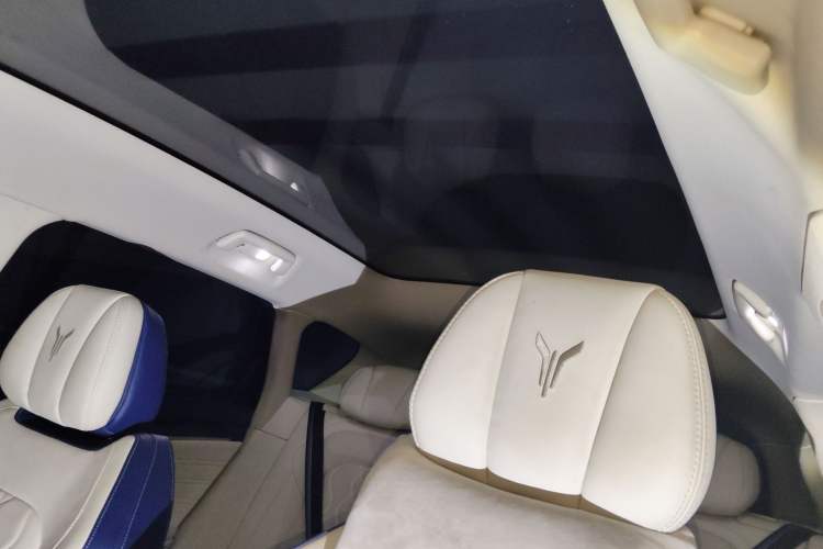 Used VOYAH FREE 2021 Four-Wheel Drive Standard Range-Extended Exclusive Luxury Package Headliner