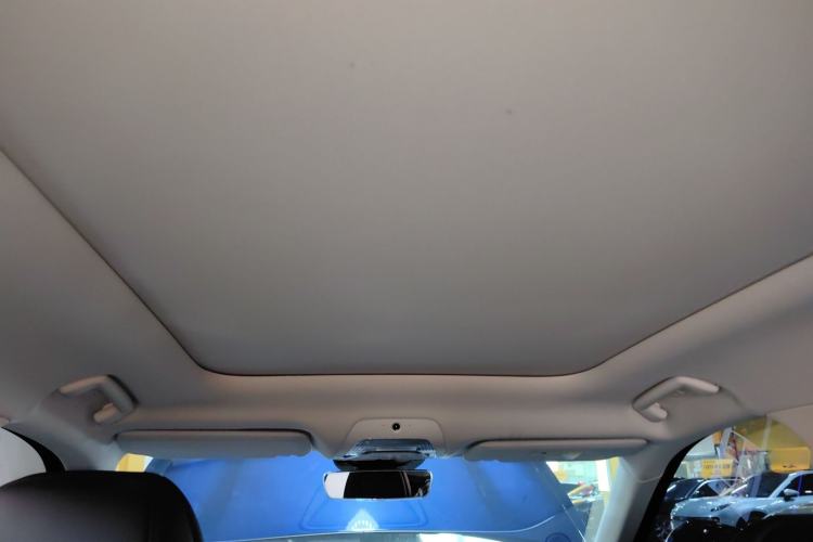 Used VOYAH FREE 2021 Four-Wheel Drive Standard Range-Extended Exclusive Luxury Package Headliner