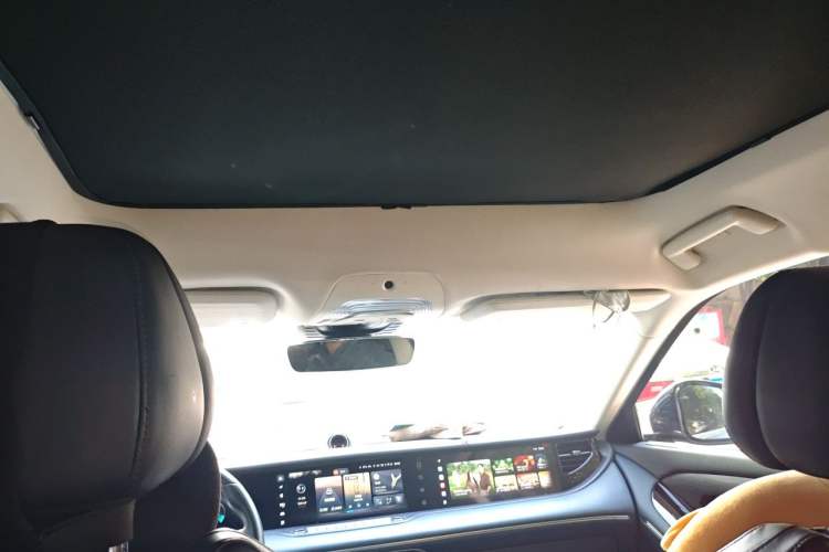 Used VOYAH FREE 2021 Four-Wheel Drive Standard All-Electric Exclusive Luxury Package Headliner