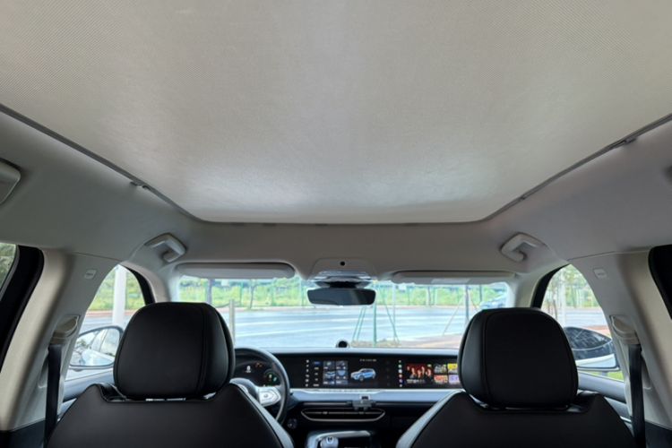 Used VOYAH FREE 2021 Four-Wheel Drive Standard All-Electric Exclusive Luxury Package Headliner