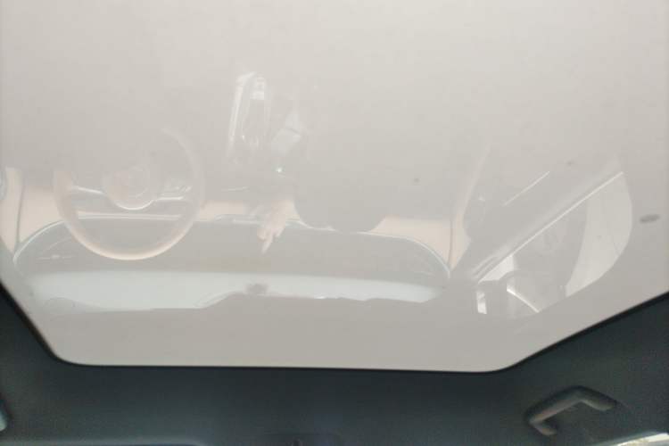 Used VOYAH FREE 2021 Four-Wheel Drive Standard Range-Extended Version Headliner