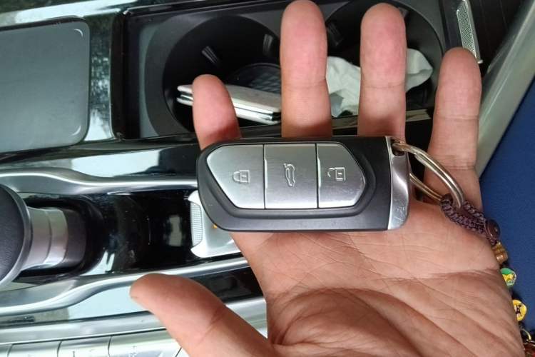 Used VOYAH FREE 2021 Four-Wheel Drive Extended-Range First-Edition Commemorative Model Interior 1