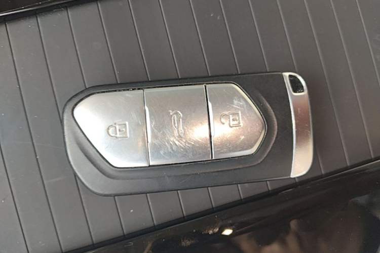 Used VOYAH FREE 2021 Four-Wheel Drive All-Electric First Edition Commemorative Edition Exclusive Luxury Package Interior 1