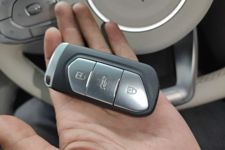 Used VOYAH FREE 2021 Four-Wheel Drive Standard All-Electric Exclusive Luxury Package Interior 1