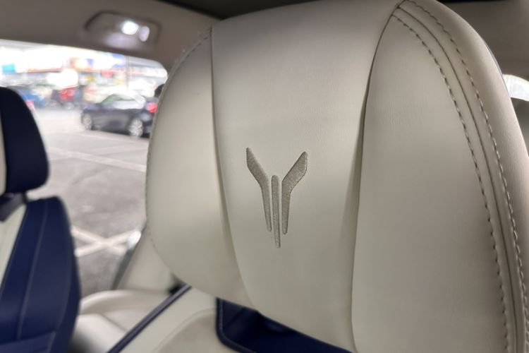 Used VOYAH FREE 2021 Four-Wheel Drive Standard All-Electric Exclusive Luxury Package Interior 1