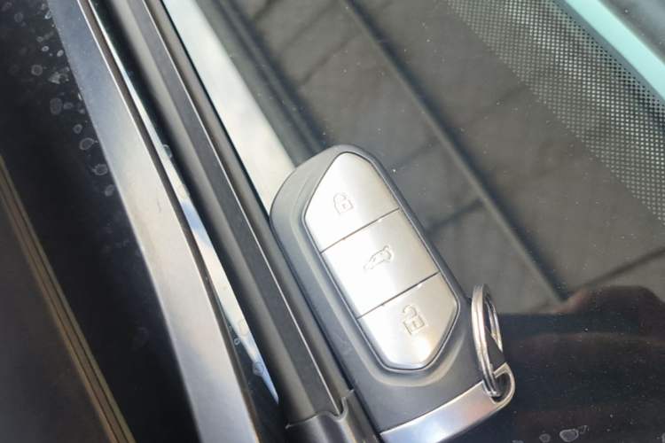 Used VOYAH FREE 2021 Four-Wheel Drive Standard Range-Extended Exclusive Luxury Package Interior 1