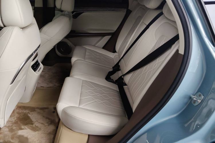 Used VOYAH FREE 2021 Four-Wheel Drive All-Electric First Edition Commemorative Edition Exclusive Luxury Package Interior 1