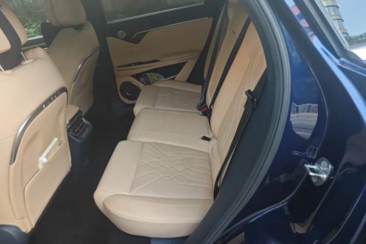 Used VOYAH FREE 2021 Four-Wheel Drive Standard Range-Extended Exclusive Luxury Package Interior 4