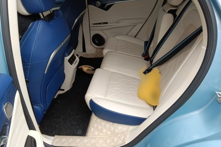 Used VOYAH FREE 2021 Four-Wheel Drive Extended-Range First-Edition Commemorative Model Interior 4